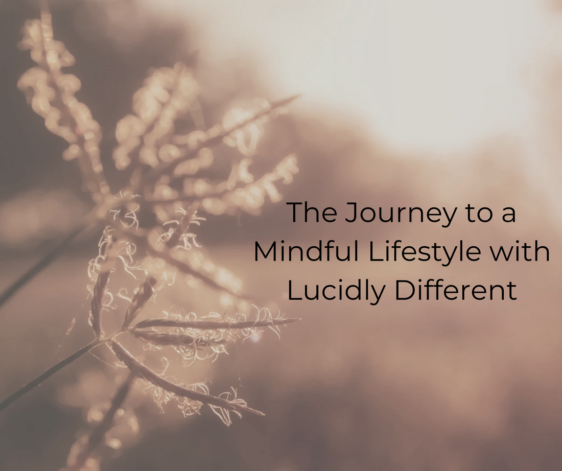 The Journey to a Mindful Lifestyle with Lucidly Different