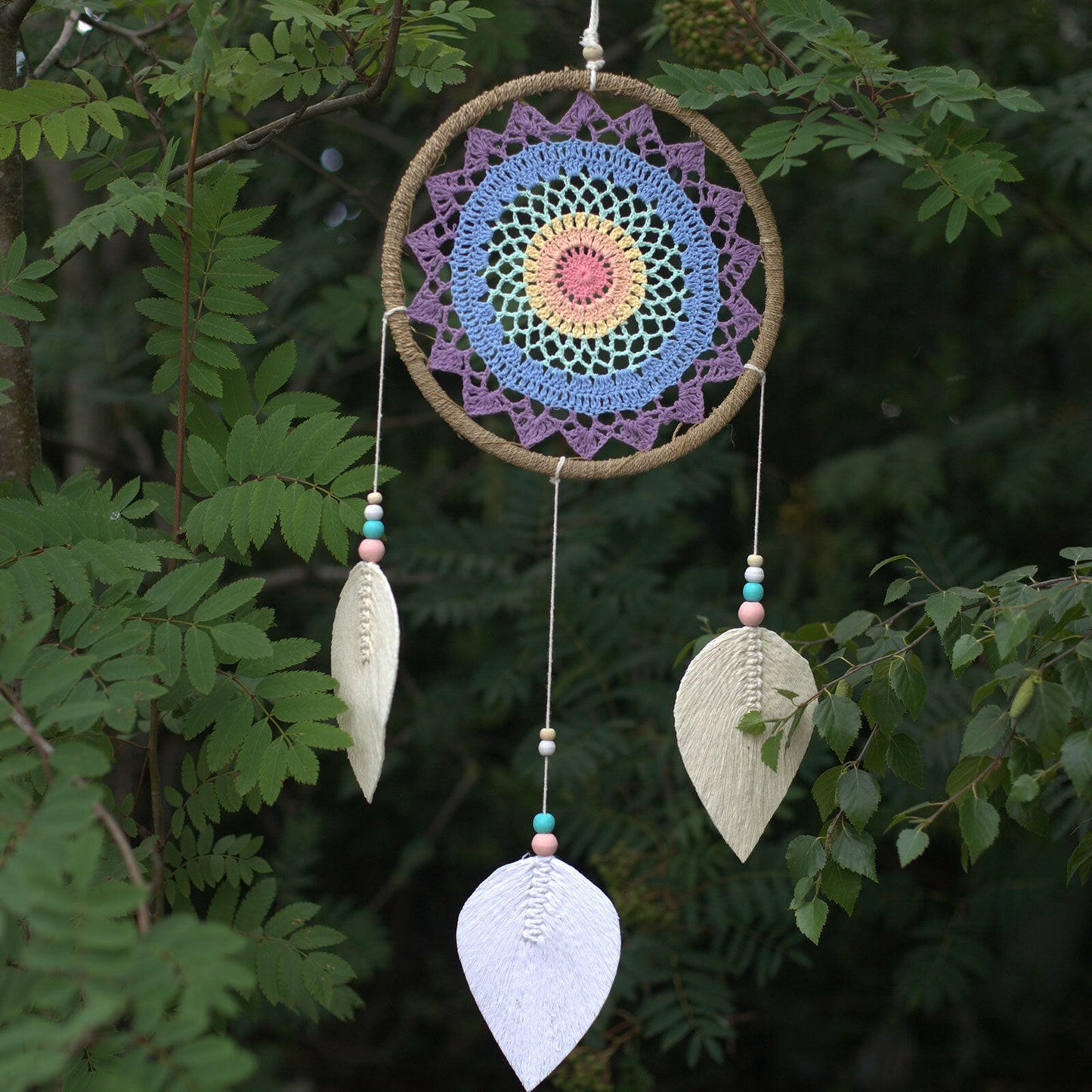 Multicolour dream catcher hung from a tree